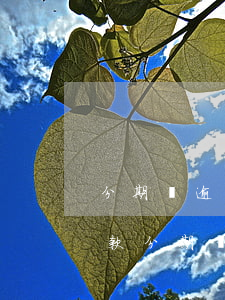分期樂逾期了怎么協(xié)商一次性還款 分期樂逾期了可以協(xié)商只還本金分期嗎?