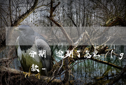 分期樂逾期了怎么關(guān)閉自動扣款-