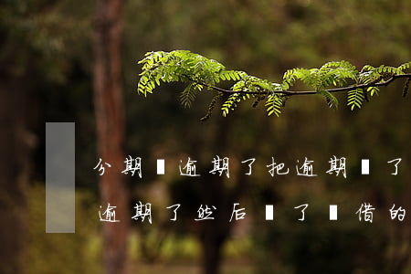 分期樂逾期了把逾期還了還會催嗎-分期樂逾期了然后還了還借的出來嗎