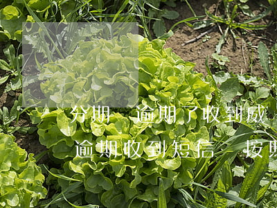 分期樂逾期了收到威脅短信怎么辦-分期樂逾期收到短信說按照相關(guān)法律程序
