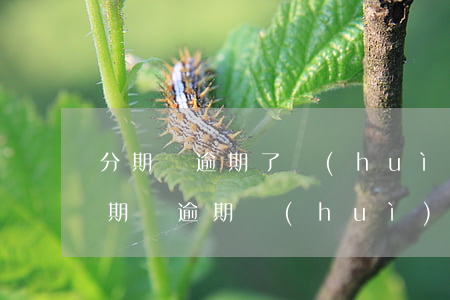 分期樂逾期了會(huì)向法院訴訟么(分期樂逾期會(huì)被起訴嗎真還不上怎么辦)