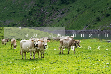 分期樂逾期了沒綁定卡會(huì)被劃扣-分期樂沒綁卡能消費(fèi)嗎