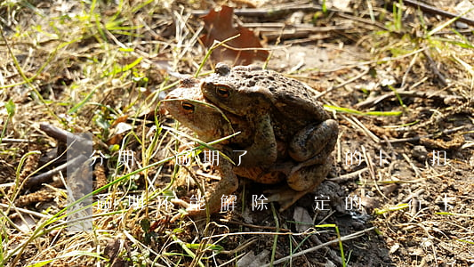 分期樂逾期了沒綁過的卡會扣錢嗎-分期樂逾期不能解除綁定的銀行卡嗎?