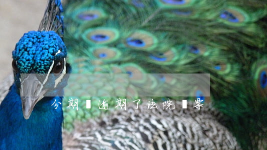 分期樂逾期了法院傳票