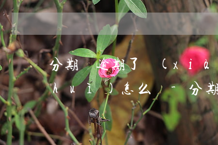 分期樂逾期了現(xiàn)在還款了會(huì)怎么樣-分期樂逾期了然后還了還借的出來嗎