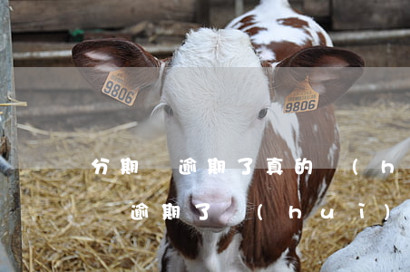 分期樂逾期了真的會(huì)上門嗎(分期樂逾期了會(huì)叫第三方上門催收嗎?)