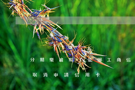 分期樂逾期了能辦工商信用卡嗎 分期樂怎么取消申請信用卡