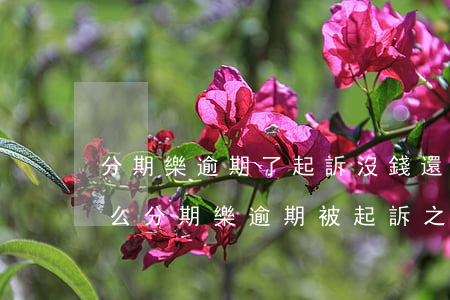 分期樂逾期了起訴沒錢還會(huì)坐牢么(分期樂逾期被起訴之后需要多久還錢)