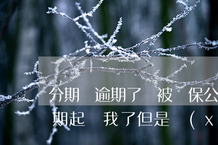 分期樂逾期了車被擔保公司開走了(分期樂逾期起訴我了,但是現(xiàn)在錢我還進去了)