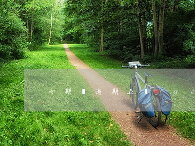 分期樂逾期五個(gè)月還款