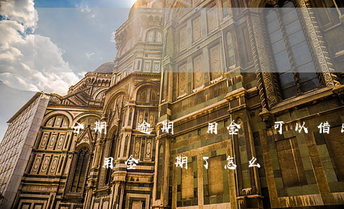 分期樂逾期備用金還可以借出來嗎-分期樂備用金過期了怎么辦