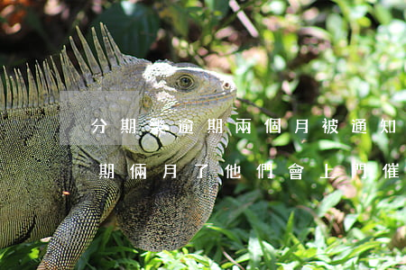 分期樂逾期兩個月被通知要上門-分期樂逾期倆月了他們會上門催嗎?