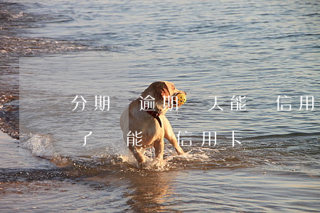 分期樂逾期兩天能辦信用卡(分期樂逾期兩年了還能辦信用卡)
