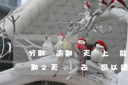 分期樂逾期兩天還上還能再借嗎-分期樂逾期2天還進去還可以借出來嗎