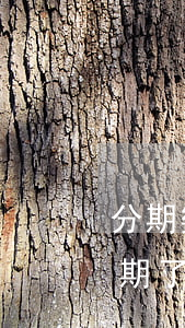 分期樂逾期兩年一萬多會坐牢嗎-分期樂逾期了兩年利息特別多怎么辦