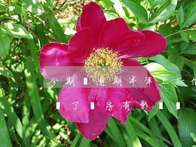 分期樂逾期半年上征信(分期樂逾期半年后面還了買房有影響嗎)