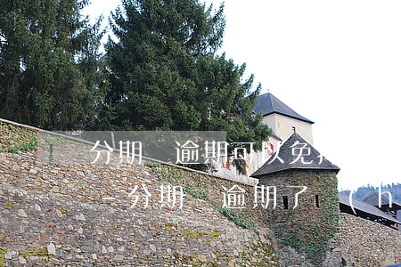 分期樂逾期可以免掉所有費(fèi)用嗎-分期樂逾期了會(huì)要求取消分期一次性還全款嗎