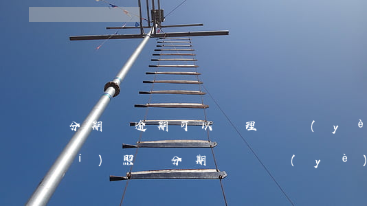分期樂逾期可以辦理營業(yè)執(zhí)照嗎(分期樂營業(yè)執(zhí)照認證)