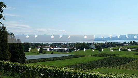 分期樂逾期后還清多久可以再借-分期樂逾期以后還清了多久才能再借