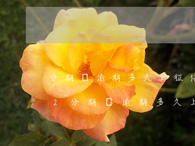 分期樂逾期多久上征信?后果有多嚴重?2022（分期樂逾期多久上征信2021）