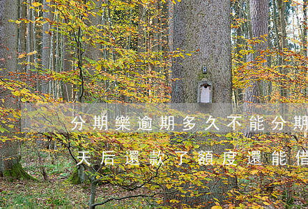 分期樂逾期多久不能分期還款 分期樂逾期幾天后還款了額度還能借嗎