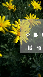 分期樂逾期多久可恢復借款？逾期影響與再借時間解析