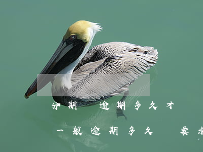 分期樂逾期多久才會關閉分期還款-分期樂一般逾期多久會要求一次性還清