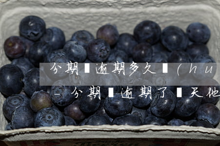 分期樂逾期多久會(huì)給公司打電話-分期樂逾期了幾天他說會(huì)走公司流程