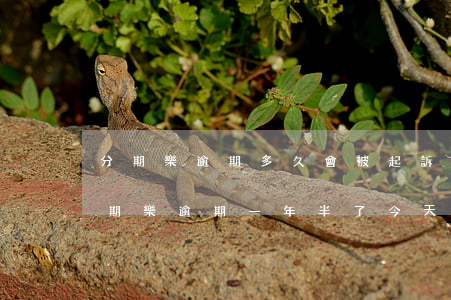 分期樂逾期多久會被起訴會收到判決書一(分期樂逾期一年半了今天發(fā)信息說要起訴法院)