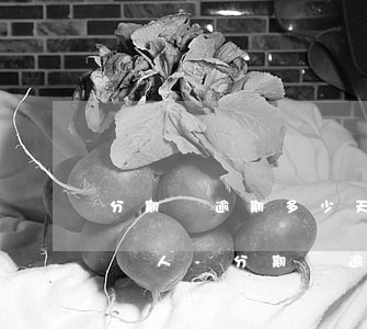 分期樂逾期多少天打電話給經(jīng)紀人-分期樂逾期幾天會打電話給緊急聯(lián)系人
