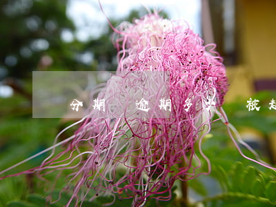 分期樂逾期多少會被起訴(樂分期逾期會被起訴嗎)