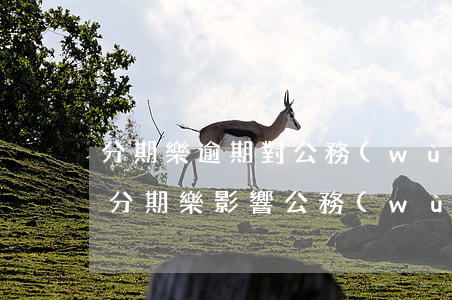分期樂逾期對公務(wù)員考試影響嗎-分期樂影響公務(wù)員政審嗎