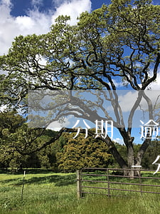 分期樂逾期對緊急聯(lián)系人有影響嗎-分期樂逾期對緊急聯(lián)系人有沒有影響