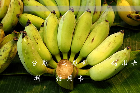 分期樂逾期影響辦信用卡不(分期樂逾期了會影響信用卡嗎)
