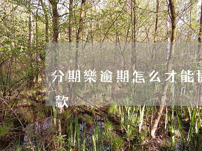 分期樂逾期怎么才能協(xié)商分期還款