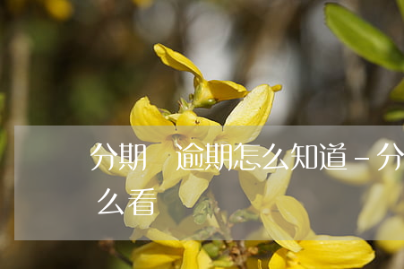分期樂逾期怎么知道-分期樂所有未還款怎么看