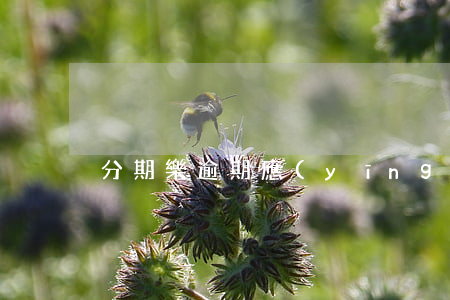 分期樂逾期應(yīng)該找誰
