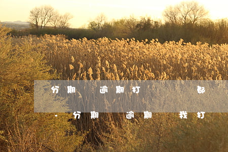 分期樂逾期打電話來都會(huì)怎么說-分期樂逾期給我打電話,我接了和她好好說了