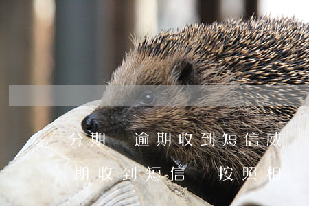 分期樂逾期收到短信威脅怎么辦-分期樂逾期收到短信說按照相關法律程序