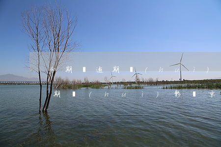 分期樂逾期會(huì)影響京東(分期樂逾期會(huì)影響京東)