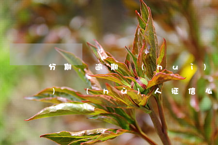 分期樂逾期會(huì)影響監(jiān)護(hù)人征信么-在分期樂貸款逾期會(huì)不會(huì)影響父母在銀行貸款