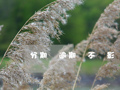 分期樂逾期會不會影響信用卡征信