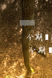 分期樂逾期會影響公務(wù)員政審嗎-分期樂借款影響公務(wù)員政審