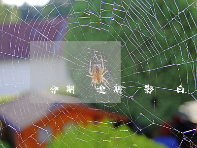 分期樂逾期會影響白條嗎(分期樂可以還白條嗎)
