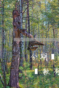 分期樂逾期會影響貸款嗎(分期樂逾期一個月還款有什么影響嗎)