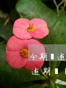 分期樂逾期會扣支付寶微信余額嗎-分期樂逾期會從其它銀行卡代扣嗎?