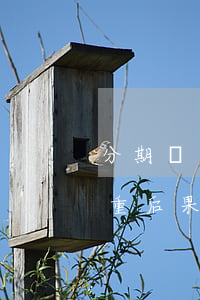 分期樂逾期會有啥后果，警惕！分期樂逾期的嚴重后果