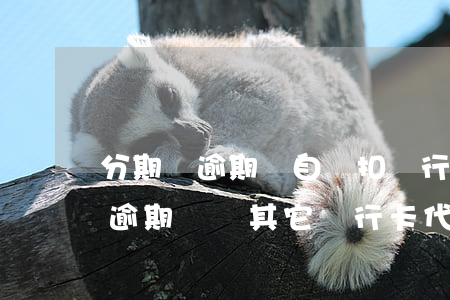 分期樂逾期會自動扣銀行卡的錢嗎-分期樂逾期會從其它銀行卡代扣嗎?