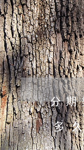 分期樂逾期會自動還款嗎(分期樂逾期還款了多久之后還可以用啊)