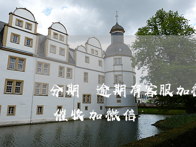 分期樂逾期有客服加微信怎么辦(分期樂逾期催收加微信)